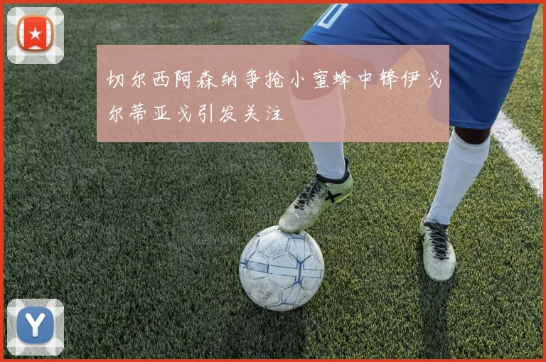 切尔西阿森纳争抢小蜜蜂中锋伊戈尔蒂亚戈引发关注